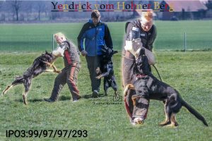 yendrick.jpg